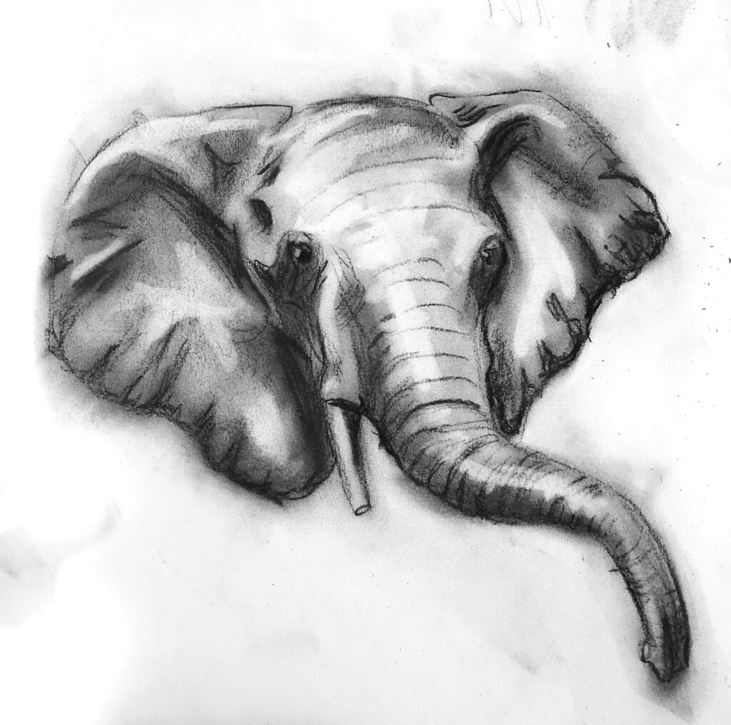 charcoal elephant